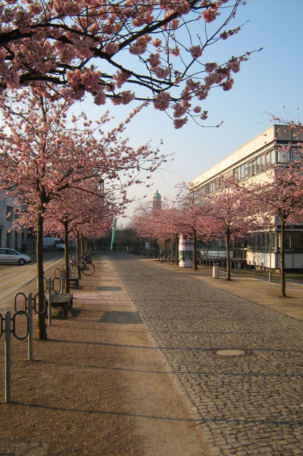 University of Göttingen campus