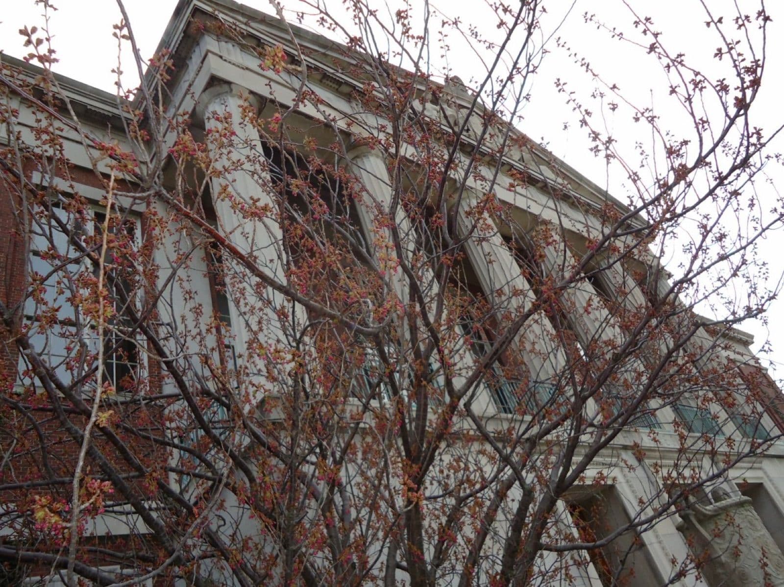 University of Rochester campus
